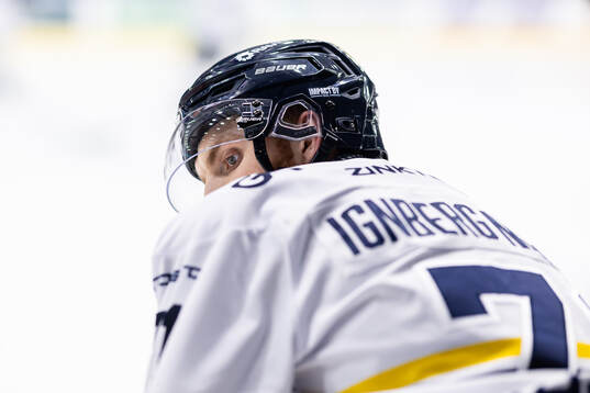 HV71s William Ignberg Nilsson