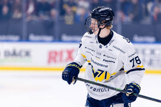 HV71s Malte Gustafsson