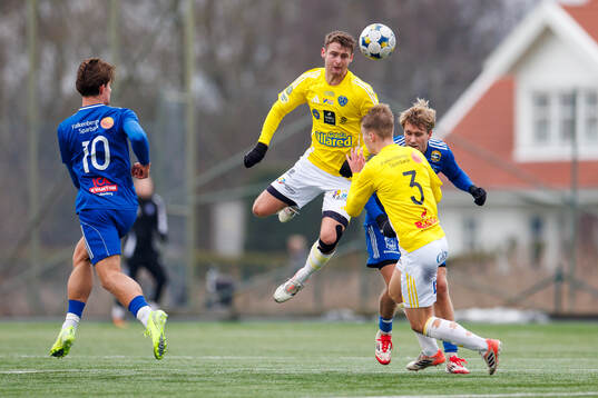 Falkenbergs Noel Hansson