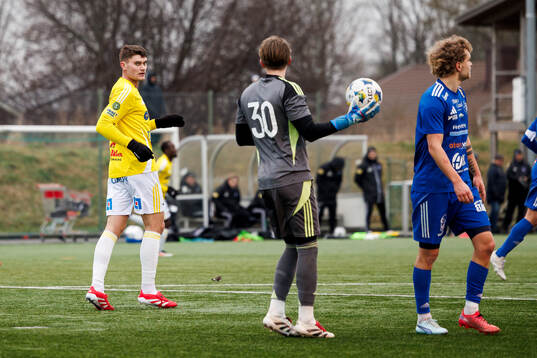 Falkenbergs Albin Andersson