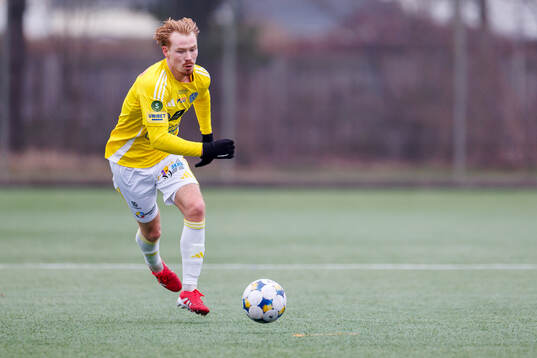 Falkenbergs Linus Borgström