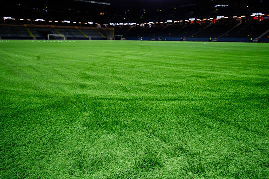 Gräset på Strawberry Arena