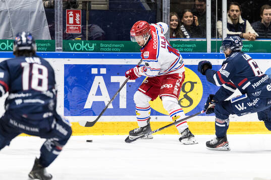 Timrås David Lilja