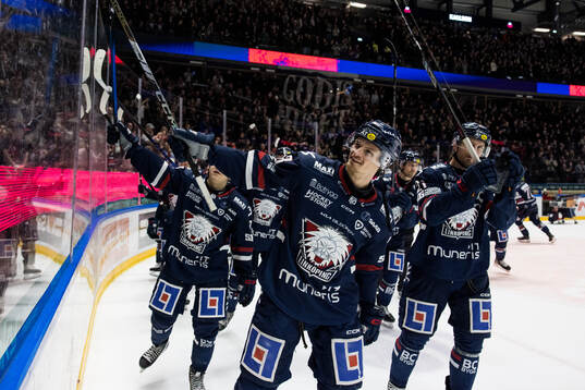 Linköpings Adam Hofbauer jublar