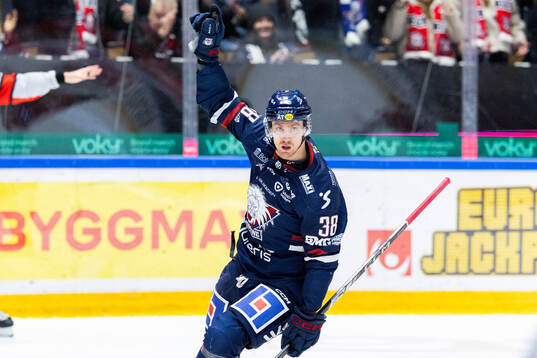Linköpings Johan Södergran jublar