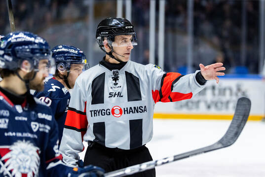 Domare Linus Öhlund