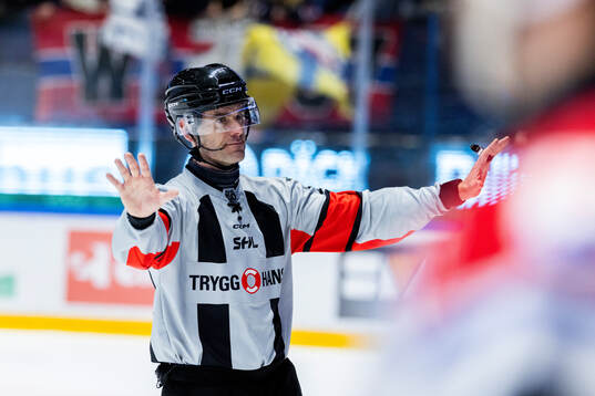 Domare Richard Magnusson