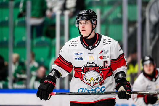 Malmö Redhawks Fredrik Händemark