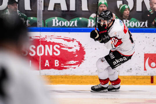 Malmö Redhawks Fredrik Händemark deppar