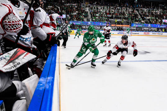 Rögles Daniel Zaar och Malmö Redhawks Petter Vesterheim