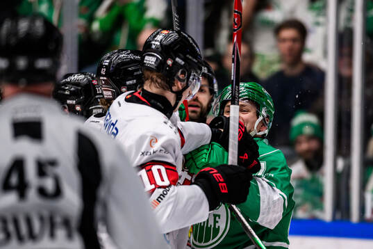 Malmö Redhawks William Von Barnekow och Rögles Leon