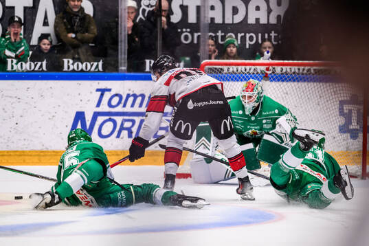 Rögles Gregor Biber och Malmö Redhawks Carl Persson och