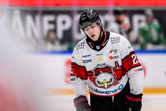 Malmö Redhawks Janne Kuokkanen deppar