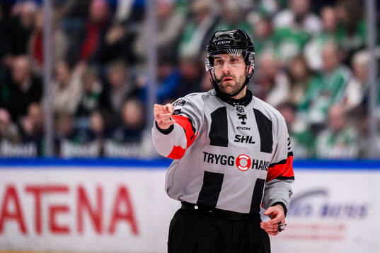 Domare Mikael Sjöqvist