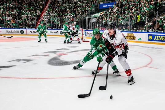 Rögles Calle Själin och Malmö Redhawks Fredrik Händemark