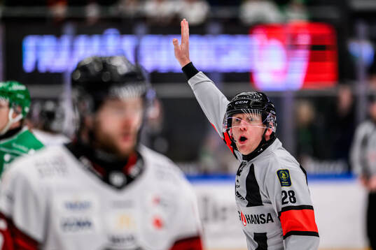 Domare Mikael Holm