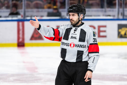 Domare Mattias Enroth