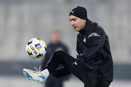 Häckens Danilo Al-Saed