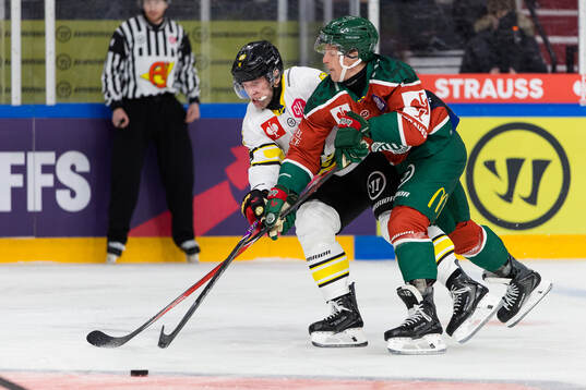 Greg Scott of Brynäs and Max Friberg of Frölunda