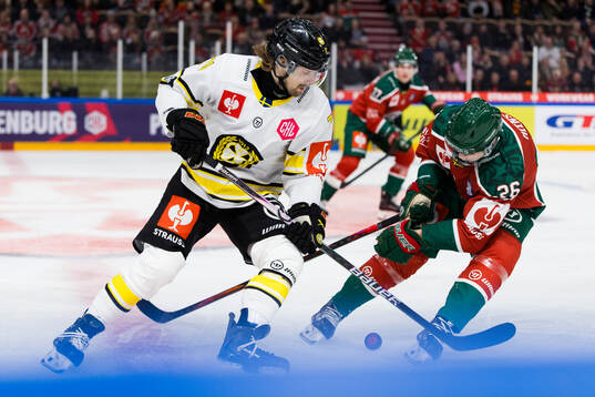 Axel Jonsson-Fjällby of Brynäs and Isac Heens of Frölunda