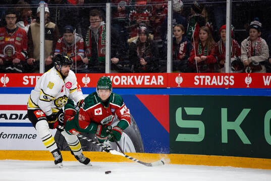 Anton Rödin of Brynäs and Filip Hasa of Frölunda