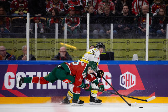Mattias Norlinder of Brynäs and Filip Cederqvist of