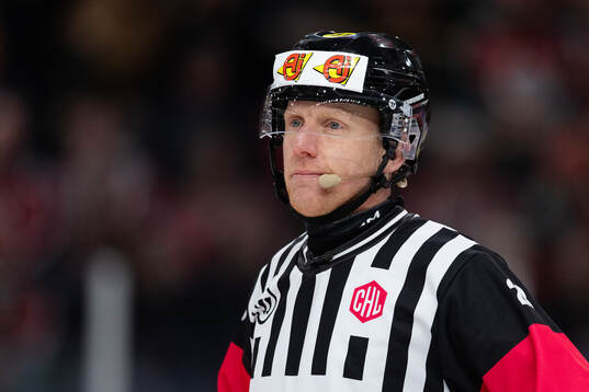Referee Mikael Holm
