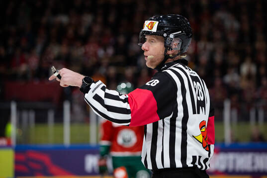 Referee Mikael Holm