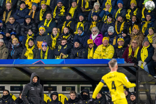 Head coach Kjetil Knutsen of Bodø/Glimt