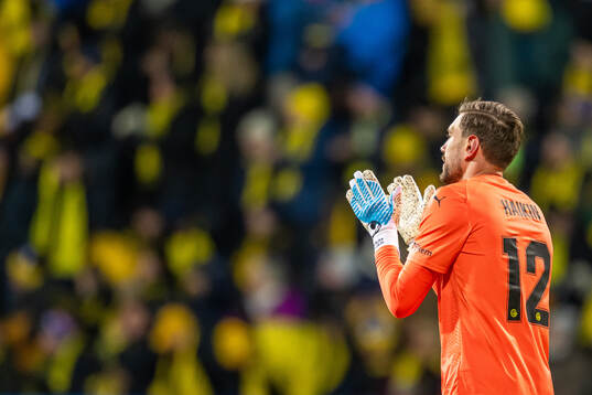 Goalkeeper Nikita Haikin of Bodø/Glimt