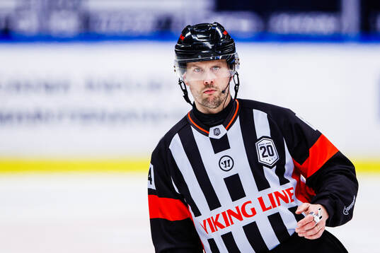 Domare Johan Magnusson