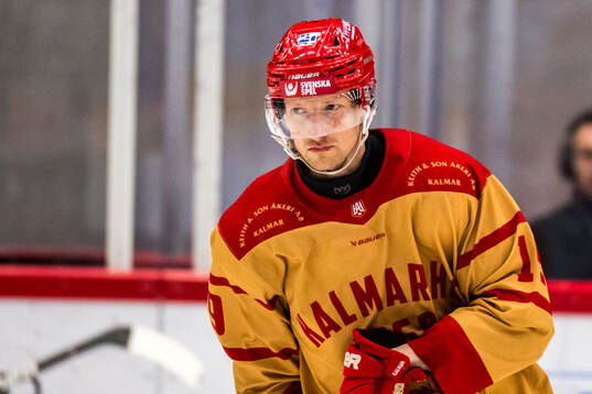 Kalmars Andrej Sustr