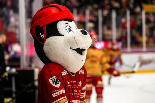 Kalmars maskot Biffe