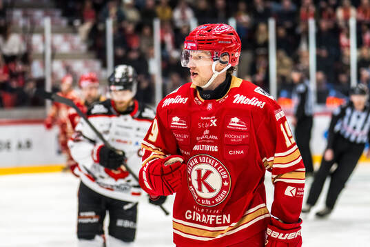 Kalmars Andrej Sustr