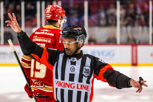 Domare Fredrik Rönnberg