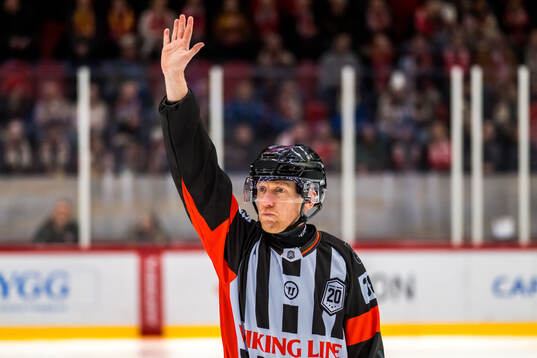 Domare Mikael Holm