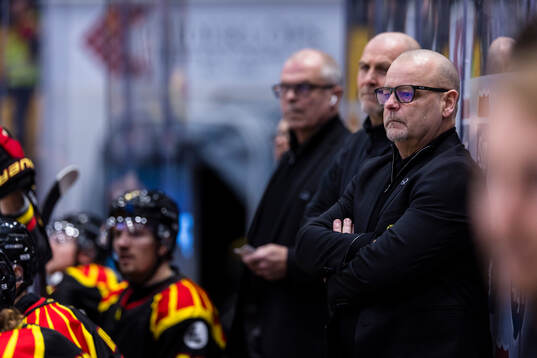 Brynäs tränare Niklas Gällstedt