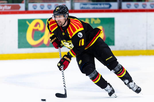 Brynäs Anton Rödin