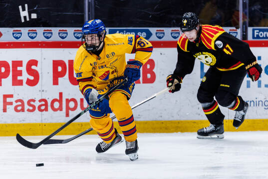 Djurgårdens Viggo Björck och Brynäs Lucas Pettersson