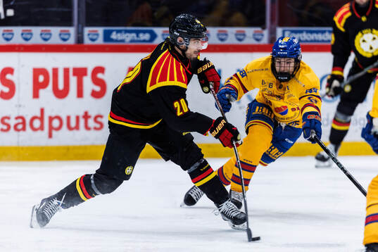 Brynäs Tyler Vesel