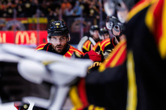Brynäs Michal Kempny jublar