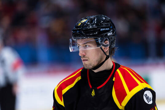 Brynäs Robert Hägg