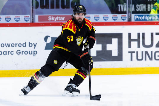 Brynäs Luke Witkowski