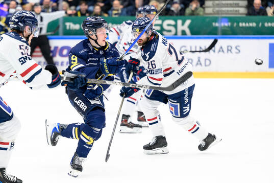 HV71s Hugo Pettersson