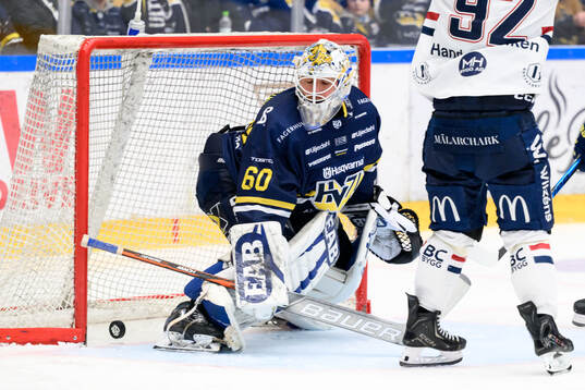 HV71s målvakt Felix Sandström