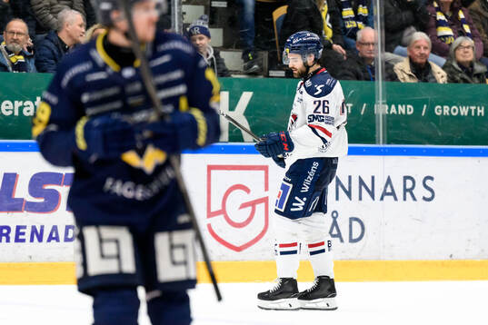 Linköpings Max Martin deppar