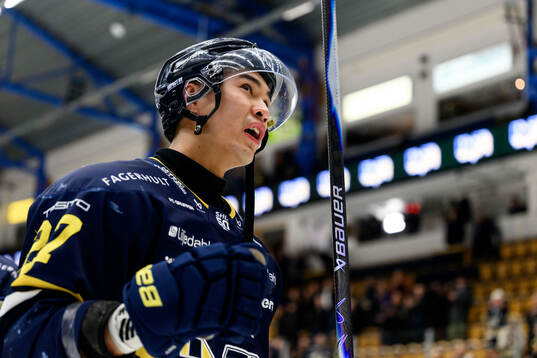 HV71s Jonathan Ang jublar