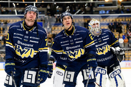 HV71s Lukas Rousek och Jonathan Ang jublar