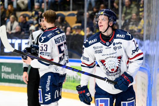 Linköpings Loke Krantz deppar