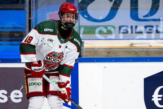 Modos Elsa Åberg